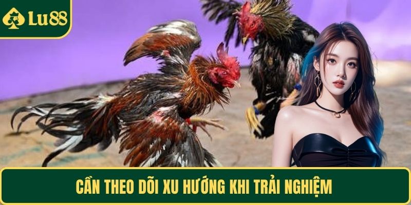 Cần theo dõi xu hướng khi trải nghiệm 