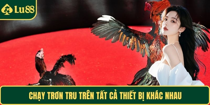 Chạy trơn tru trên tất cả thiết bị khác nhau