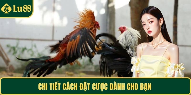 Chi tiết cách đặt cược dành cho bạn 