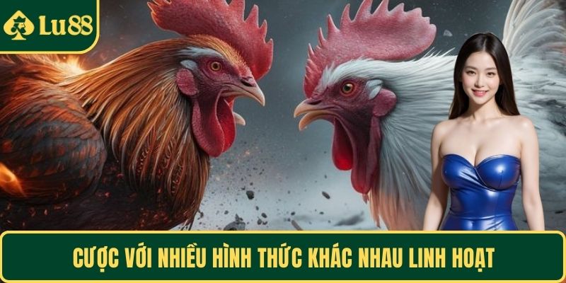 Cược với nhiều hình thức khác nhau linh hoạt