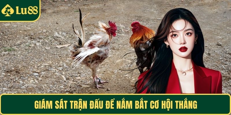 Giám sát trận đấu để nắm bắt cơ hội thắng