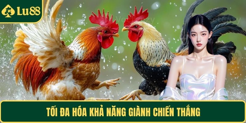 Tối đa hóa khả năng giành chiến thắng