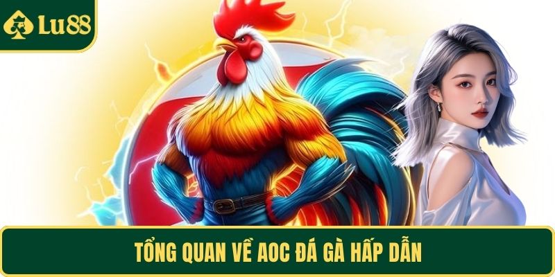 Tổng quan về AOC đá gà hấp dẫn