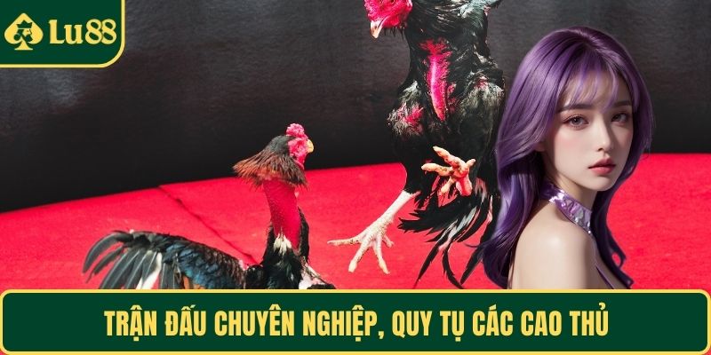 Trận đấu chuyên nghiệp, quy tụ các cao thủ